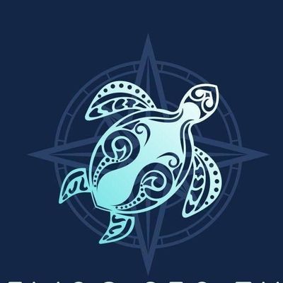 Avatar for Traveling Sea Turtle