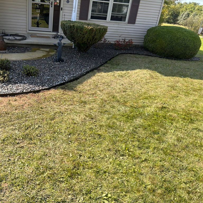 LPM Landscaping