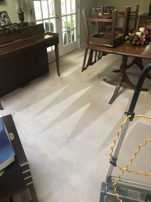 Avatar for Happy Days Carpet Cleaning