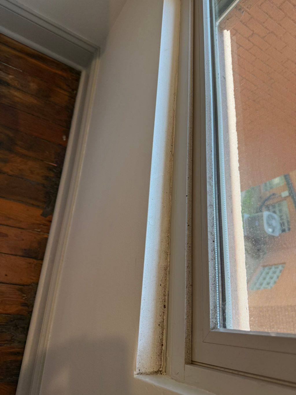 ( Before) deep window cleaning 