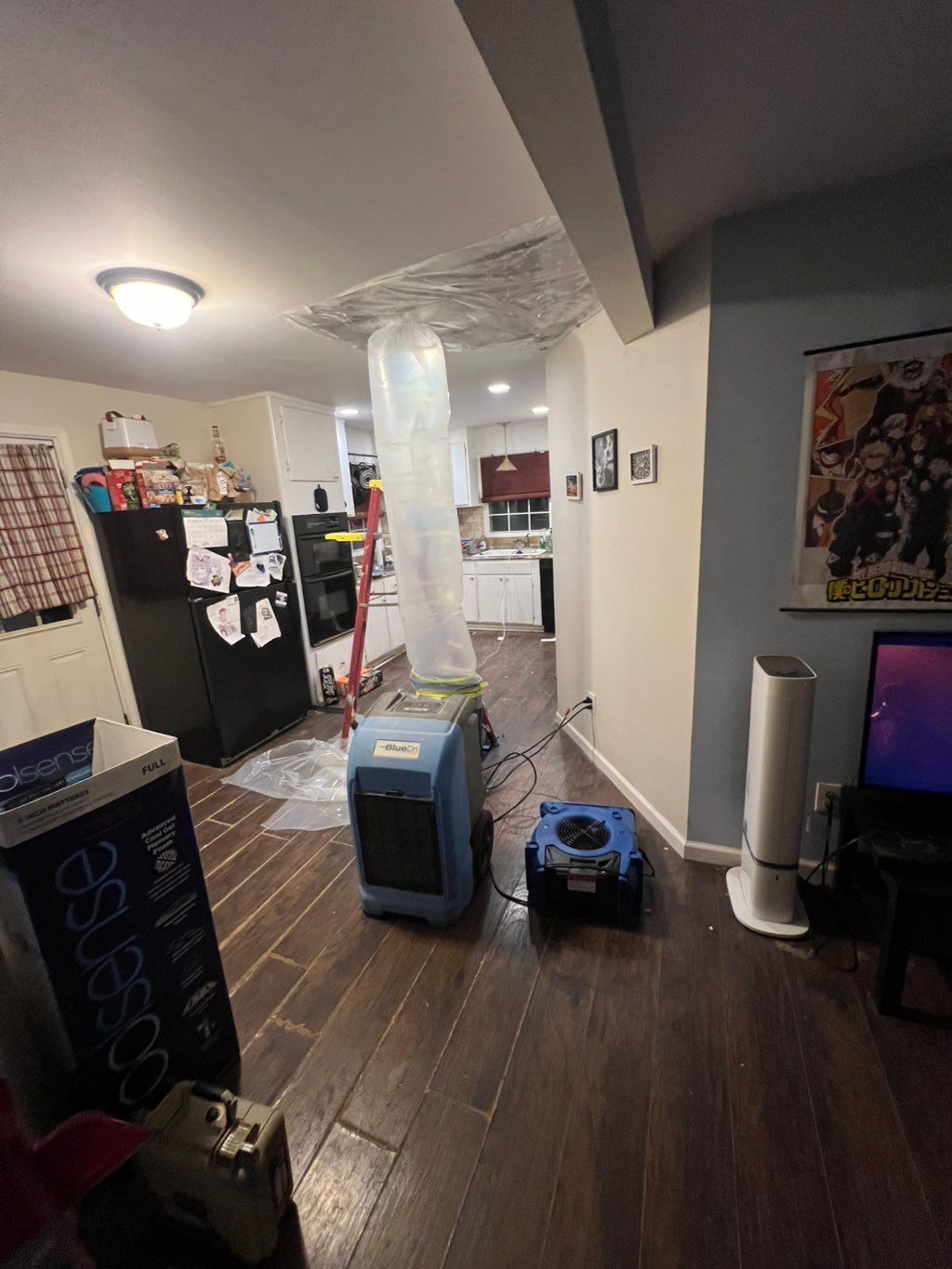 Projects and media