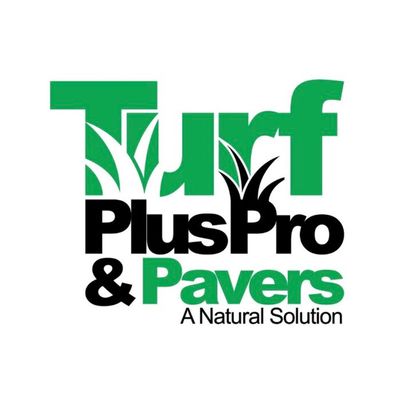 Avatar for Turf Plus Pro & Pavers