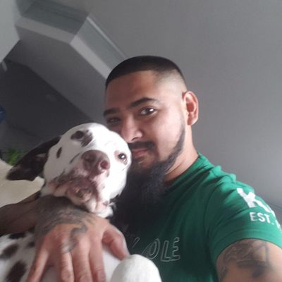 Avatar for Aesthetic Renovations