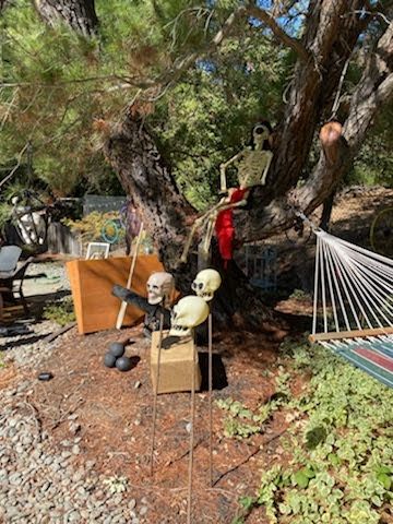 pirate birthday party