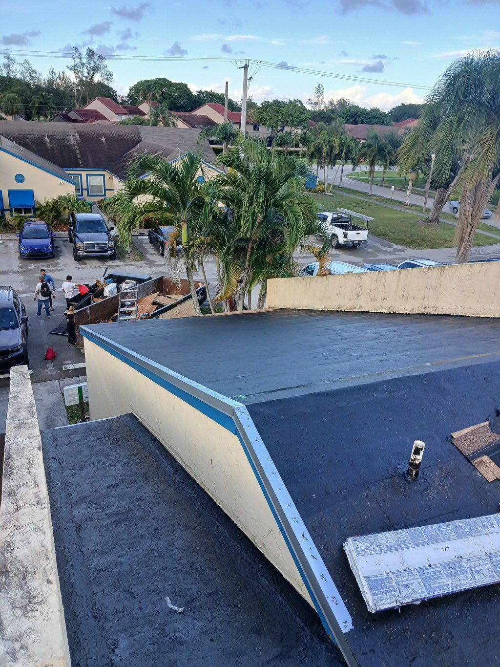 Projects and media
