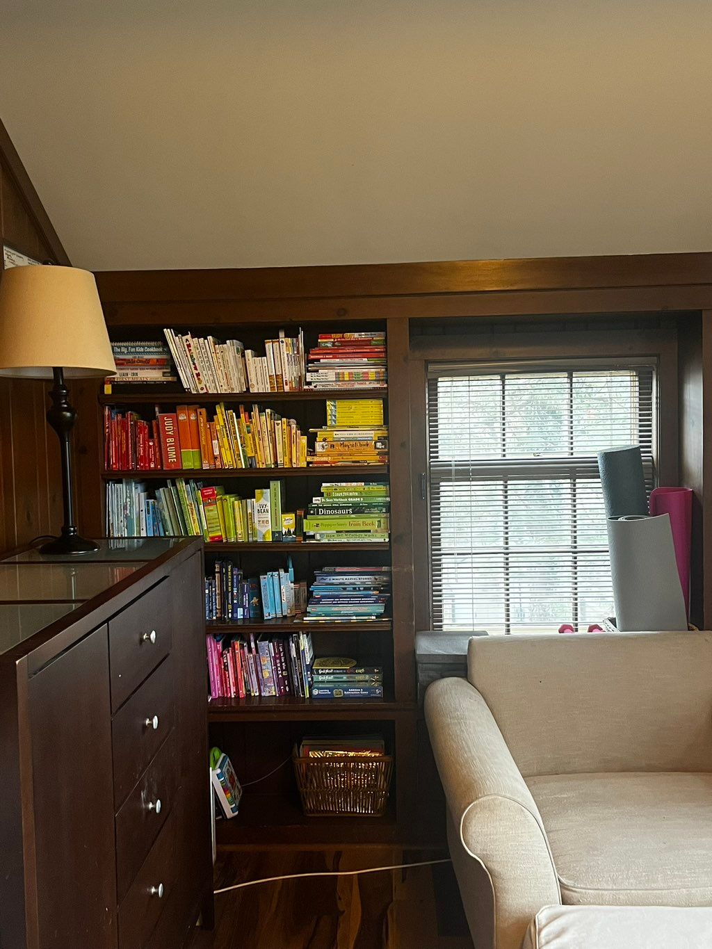 Color coordinated kid bookshelf: Easy to spot dupl