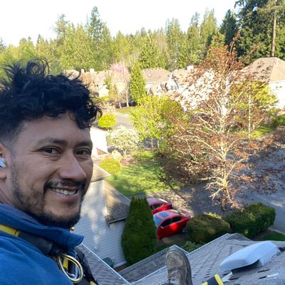 Avatar for BIG DOGS LAWN SERVICES LLC