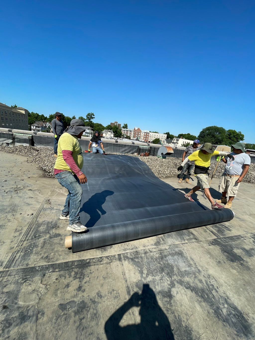 Projects and media