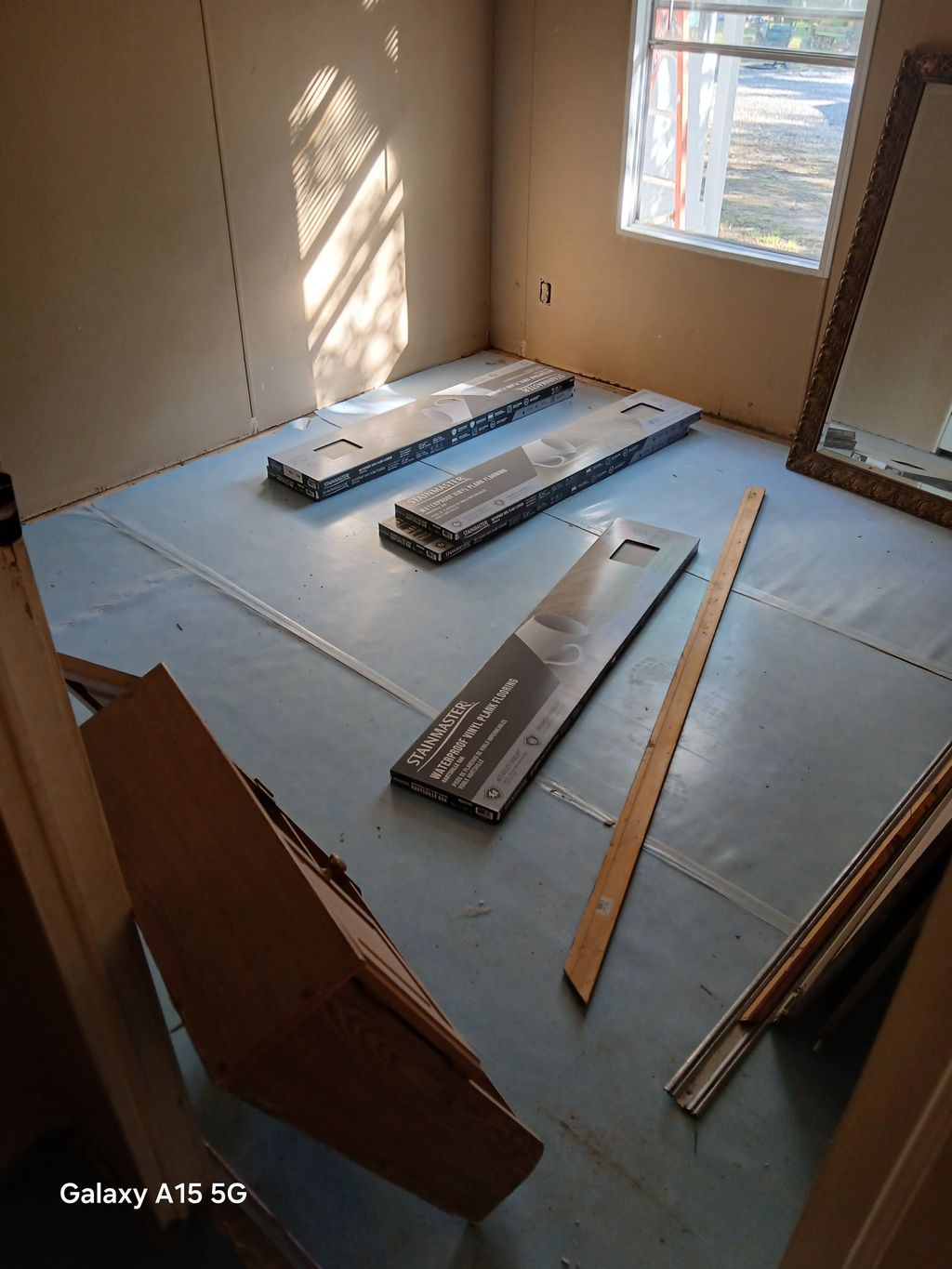 Projects and media