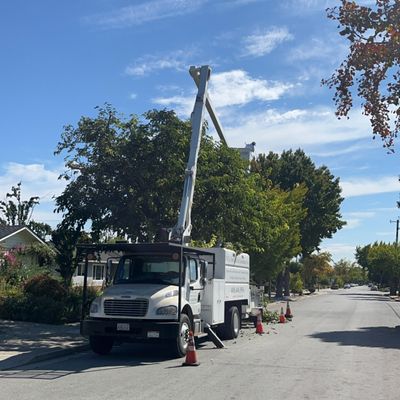 Avatar for Bill's Tree Care & Landscape, Inc.