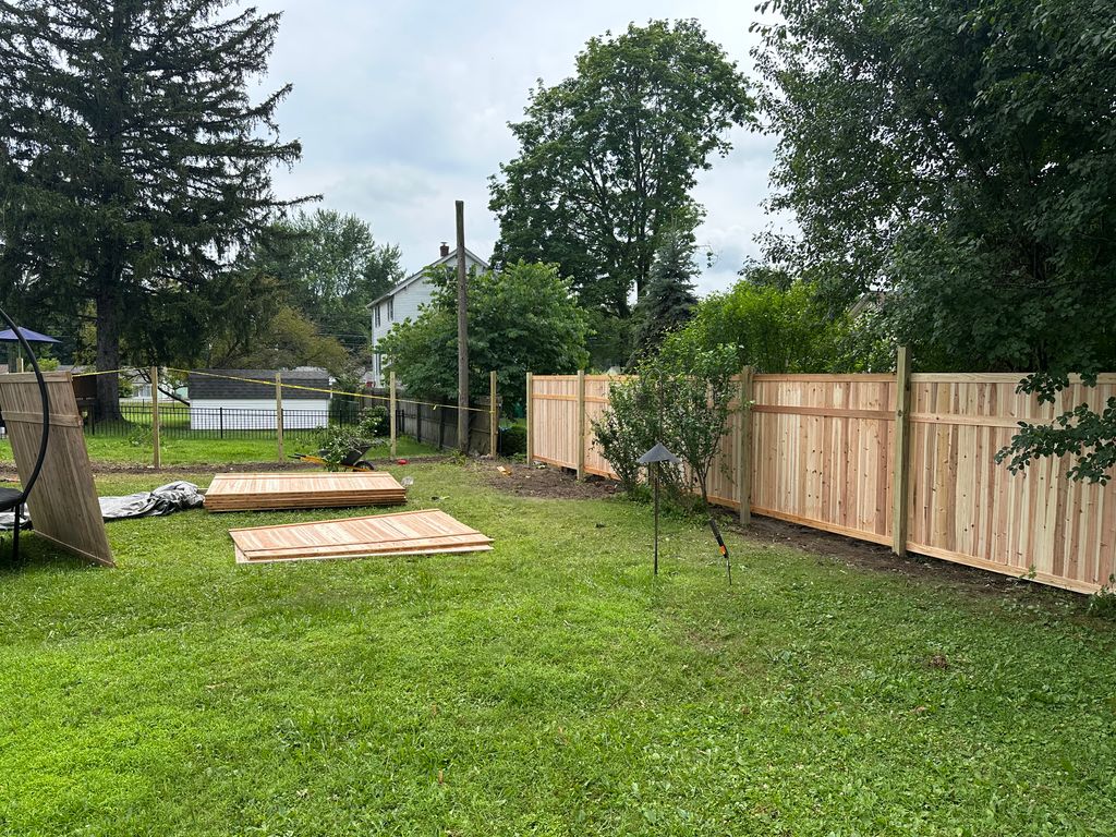 Projects and media