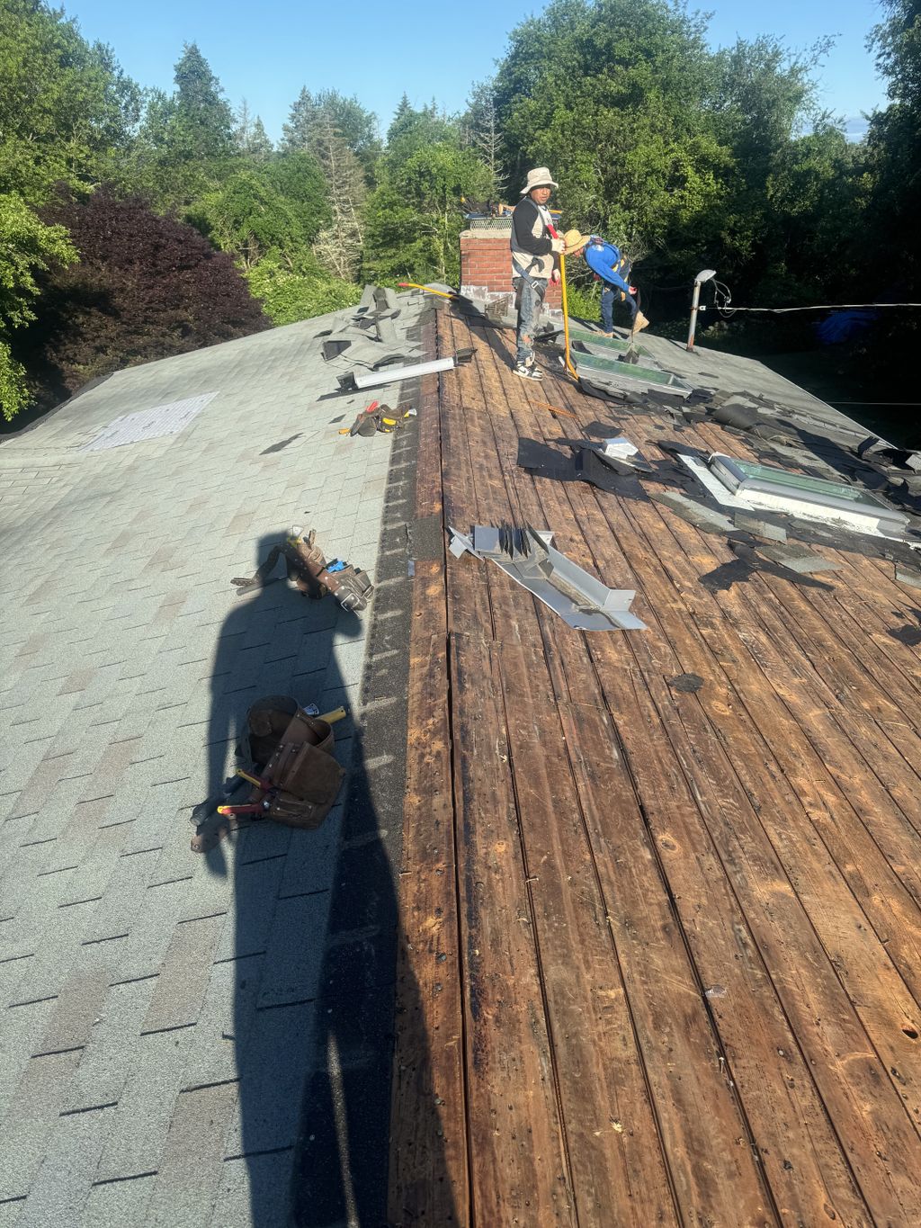 Projects and media