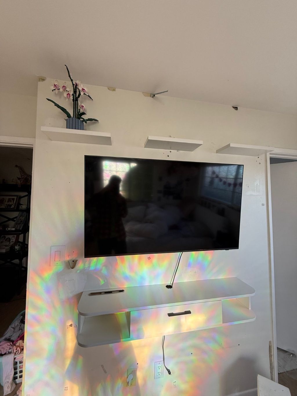Projects and media