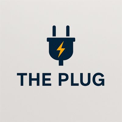 Avatar for The plug