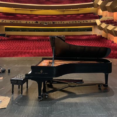 Avatar for Flood Piano Tuning