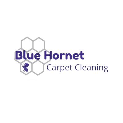 Avatar for Blue Hornet Carpet Cleaning