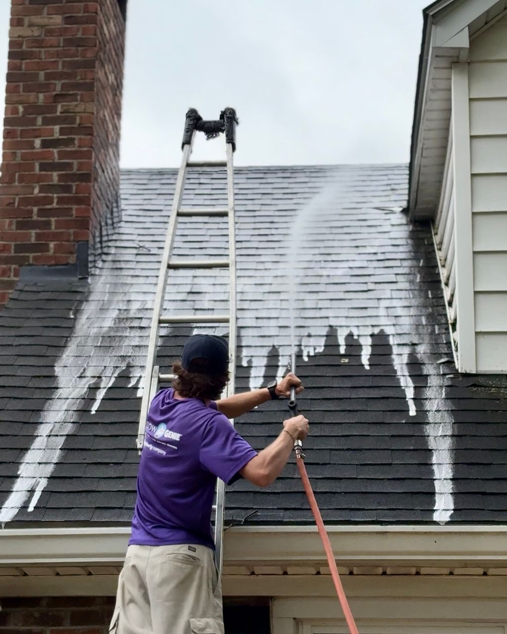 Roof Washing
