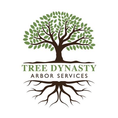 Avatar for Tree Dynasty Arbor Services