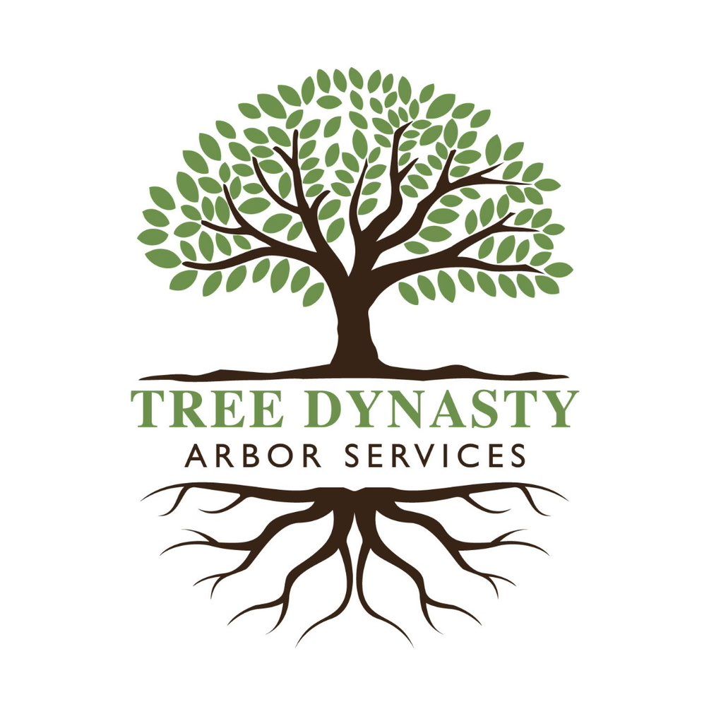 Tree Dynasty Arbor Services