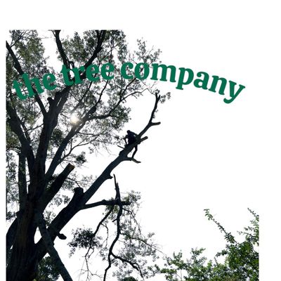 Avatar for The Tree Company