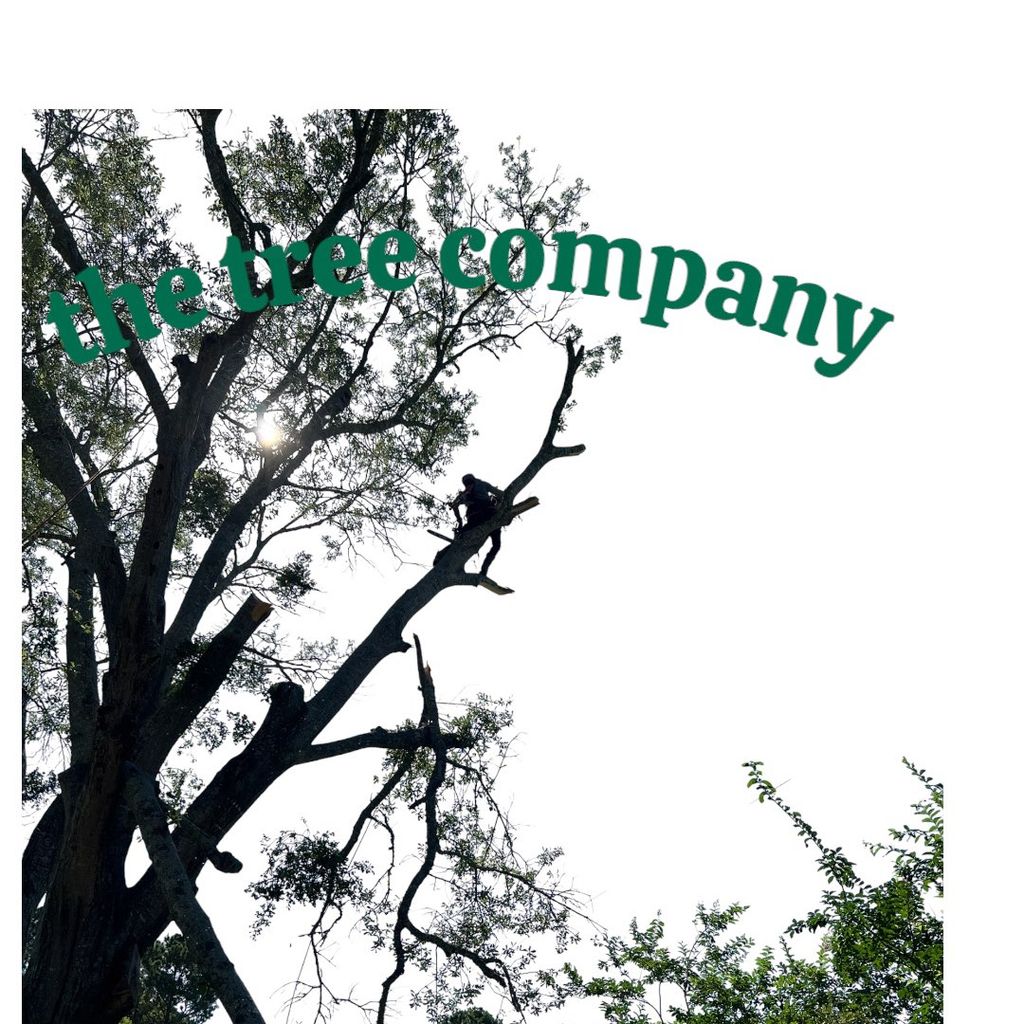 The Tree Company