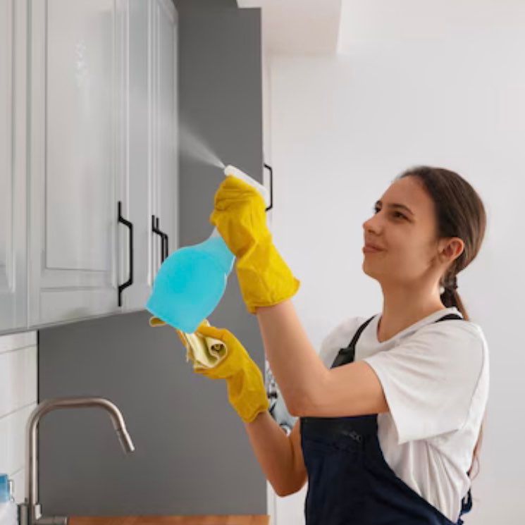 Dreamboxusa Cleaning Services
