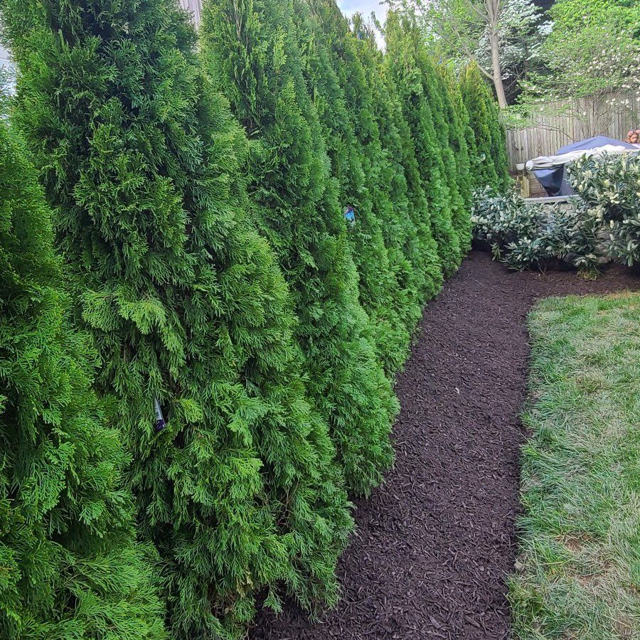 Cabrera Landscaping