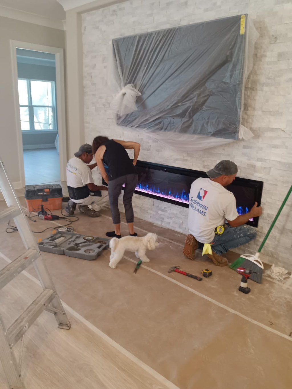 Projects and media