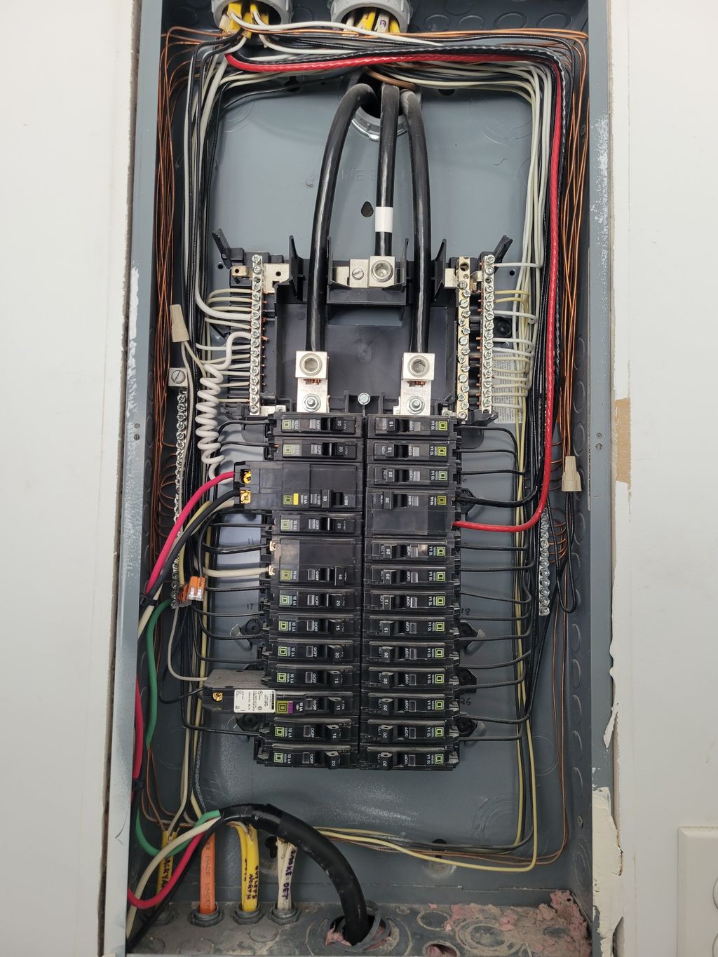 Projects and media
