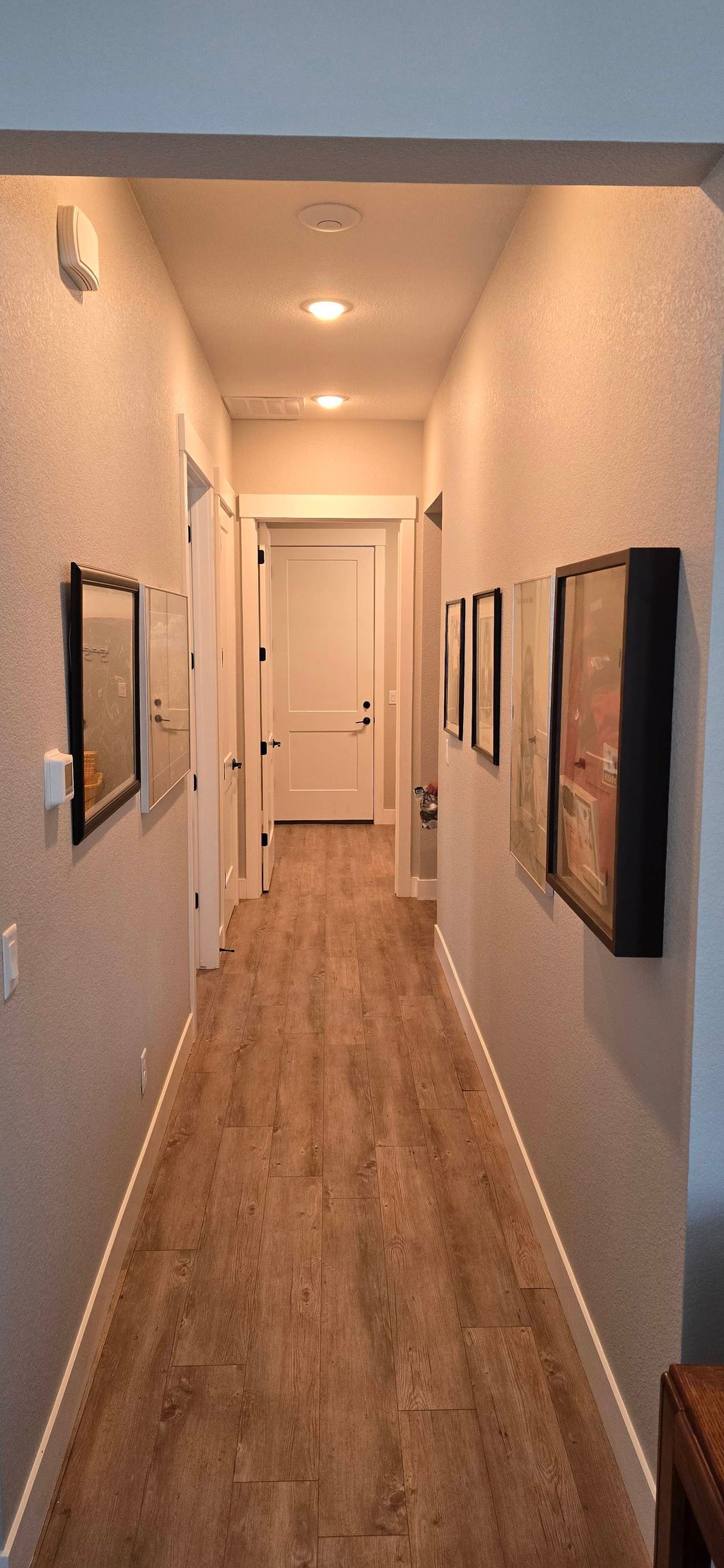 picture hanging