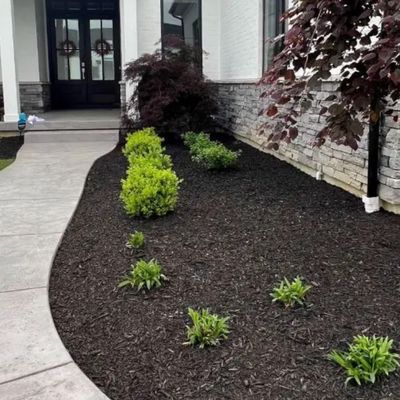 Avatar for Lawns By Levy