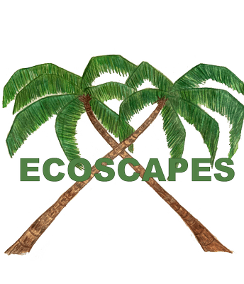 Avatar for EcoscapesX