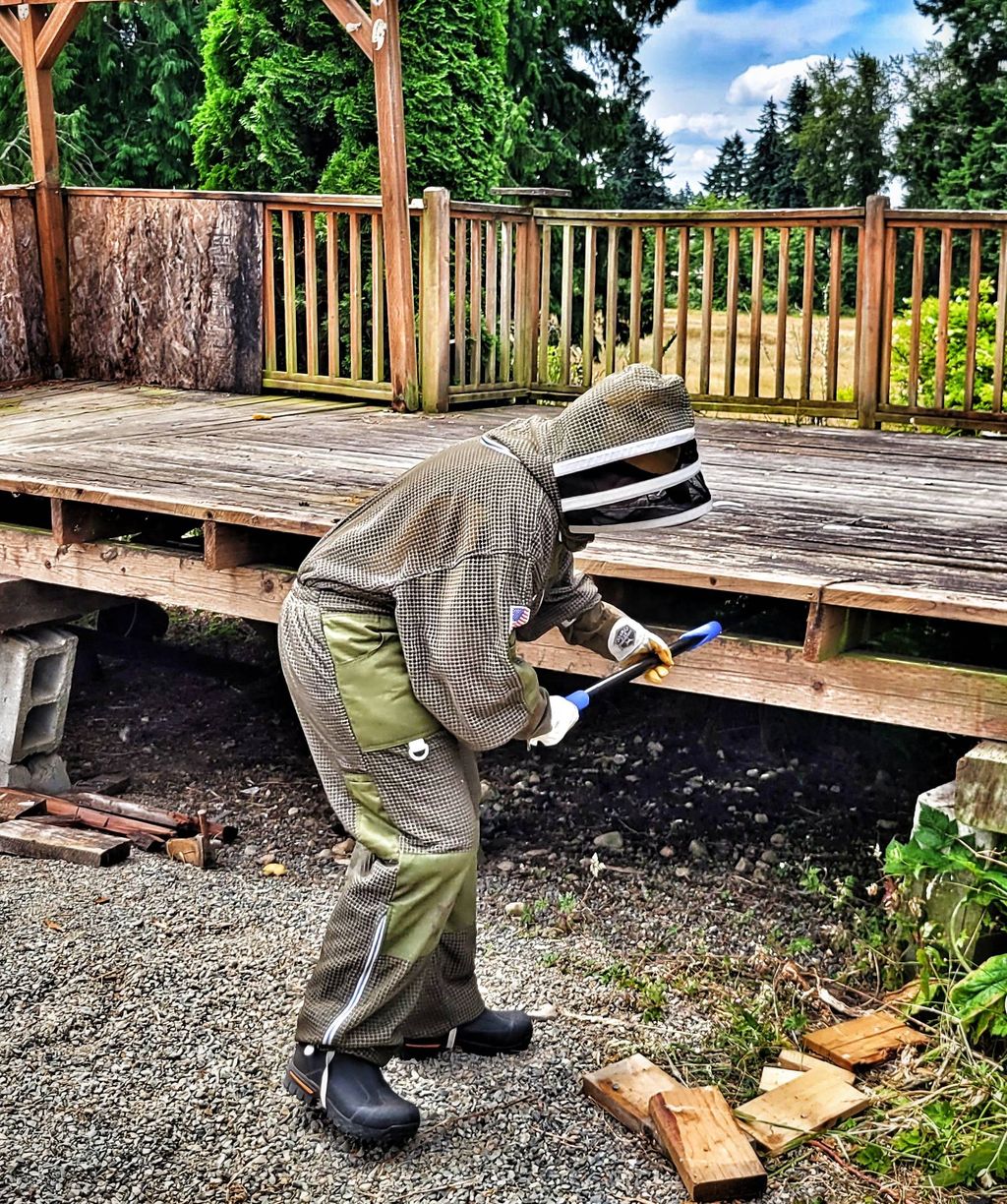Wasp nest? No problem! 