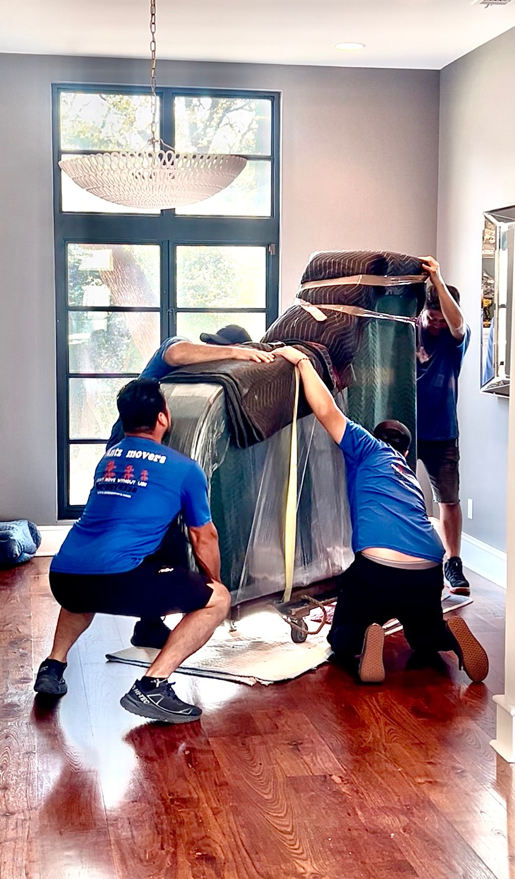 Antz Movers