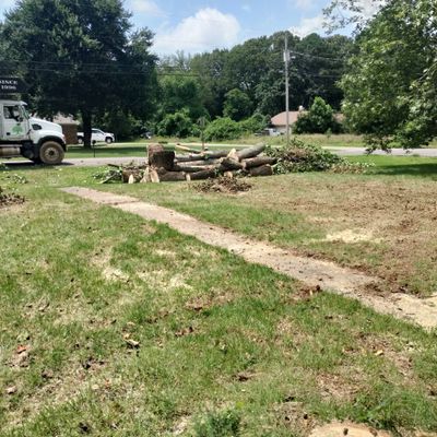 Avatar for J's Tree Service