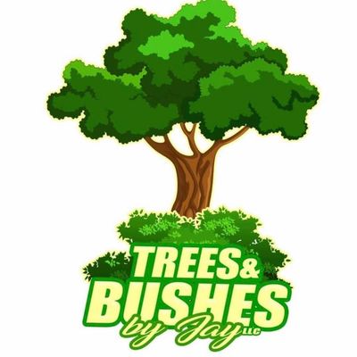 Avatar for Trees & Bushes By Jay LLC