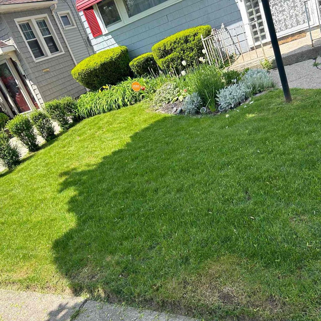 Montclair, NY 