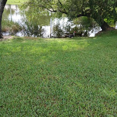 Avatar for Atanasio's mowing trimming & more
