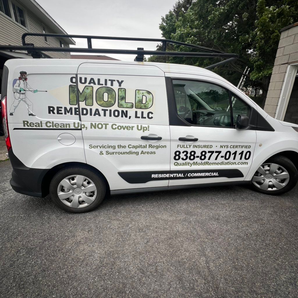 Quality Mold Remediation LLC