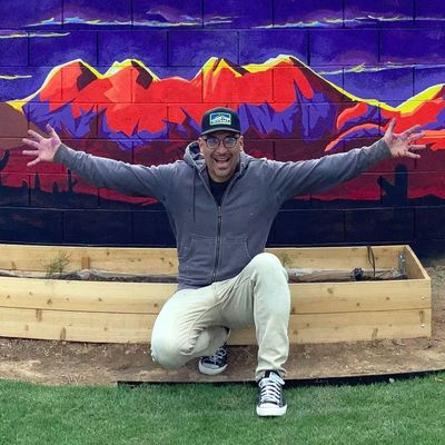 Avatar for Murals by Matt 🎨 Your walls best friend