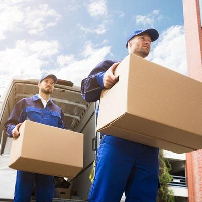 Avatar for Novex Moving