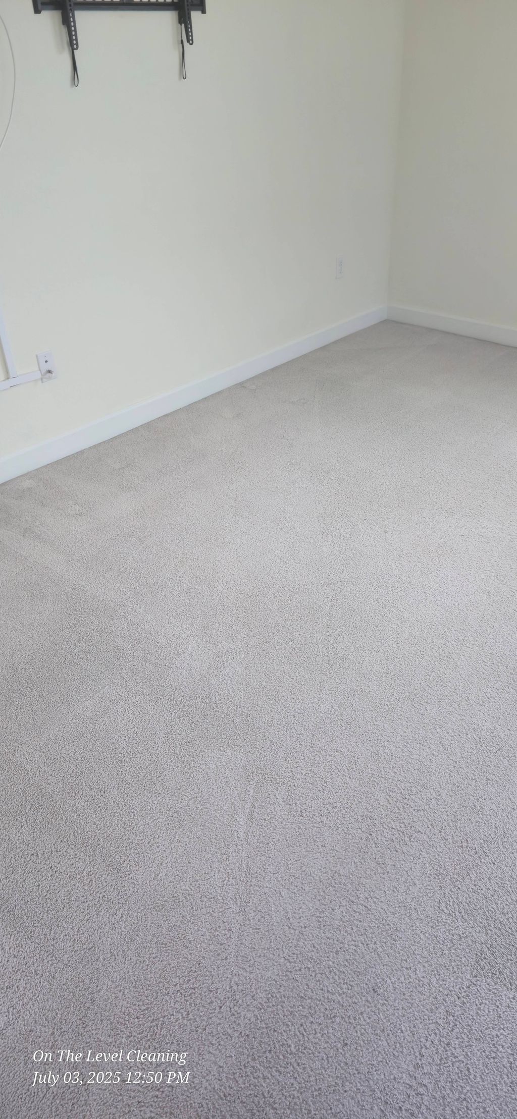 carpet cleaning port st lucie fl