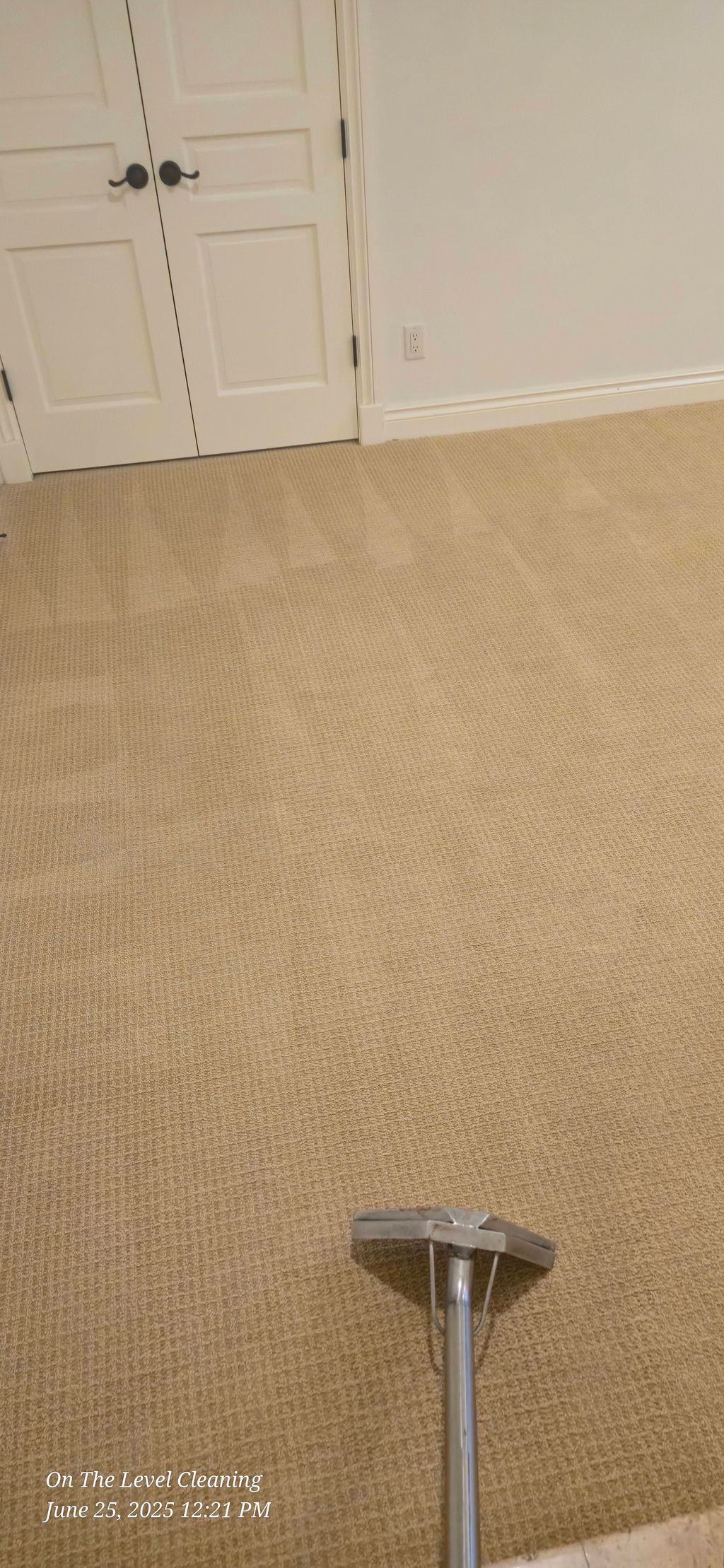 carpet cleaning stuart florida