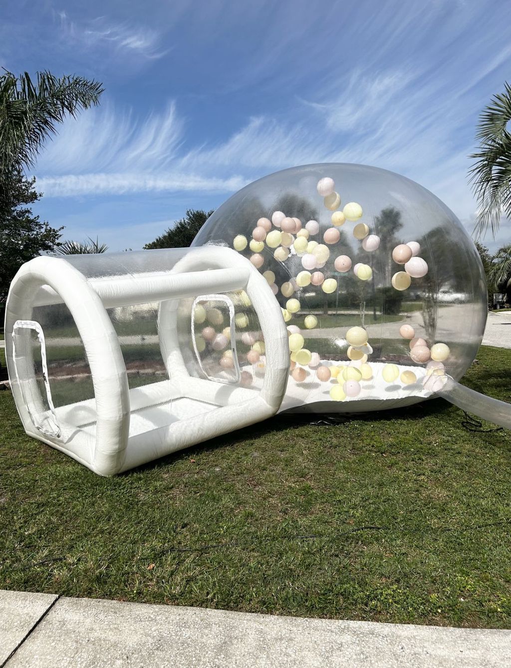 Bubble dome 