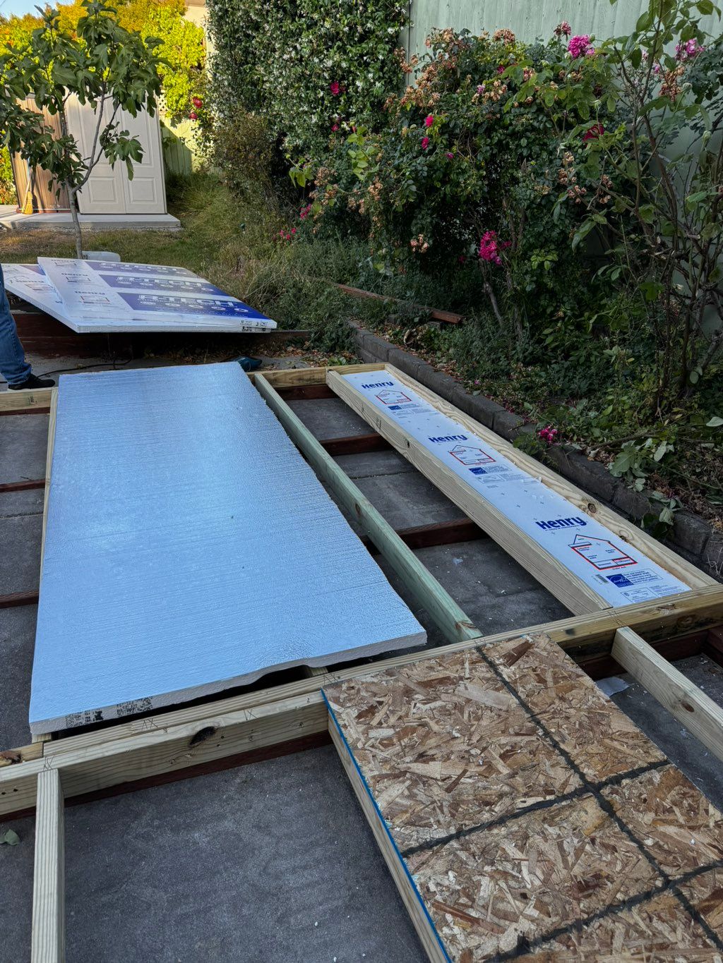 Projects and media