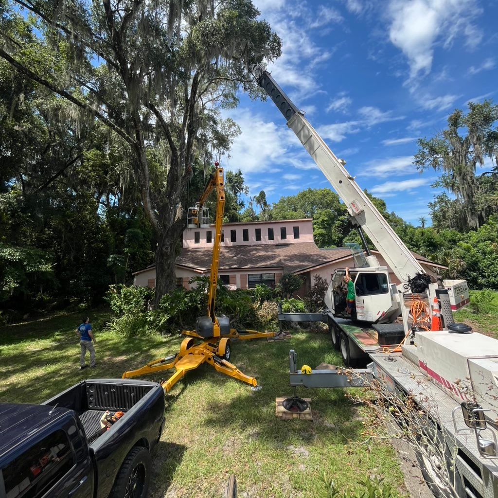 Deep River Tree and Landscape LLC