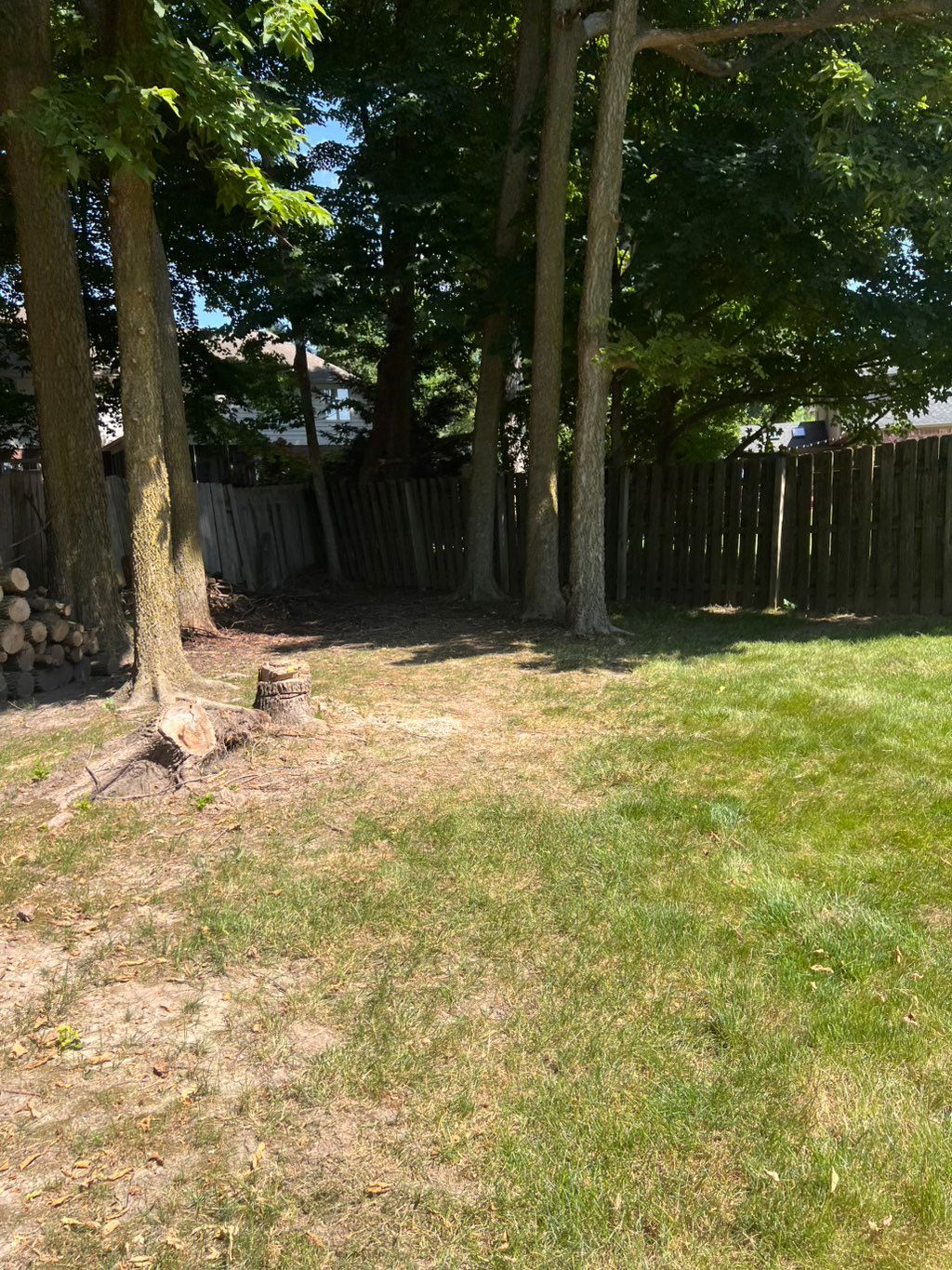 Tree Limb Cut Up and Removal (After)