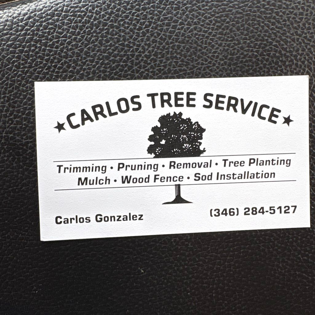 Carlos tree service