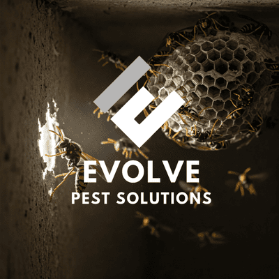 Avatar for Evolve Pest Solutions