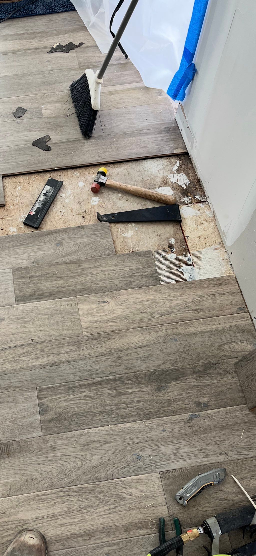Projects and media